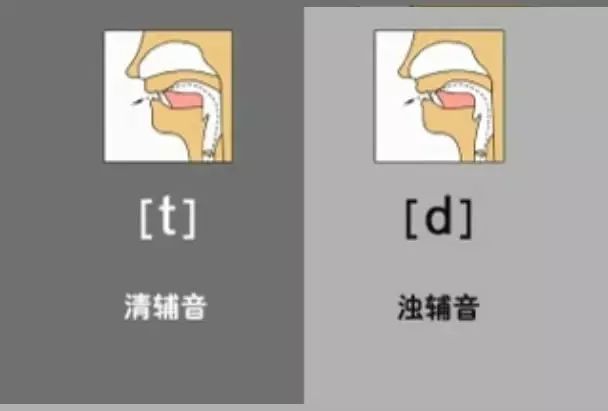 英语音标发音表48个音标正确读法,英语干货48个音标快速记忆法下