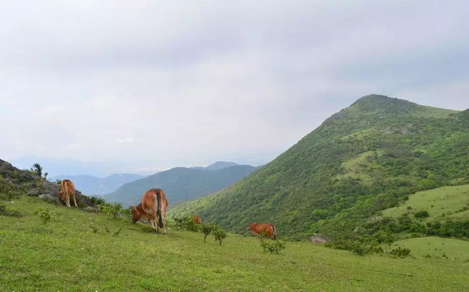 福州十大免费景点,福州网红景点免费