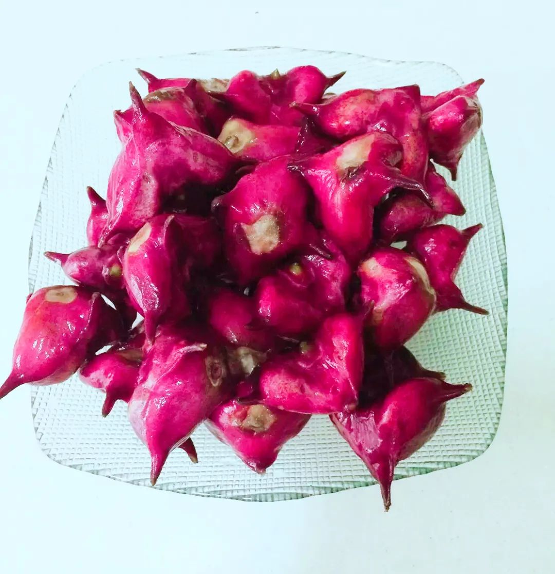 你吃的菱，是2角、4角还是0角？