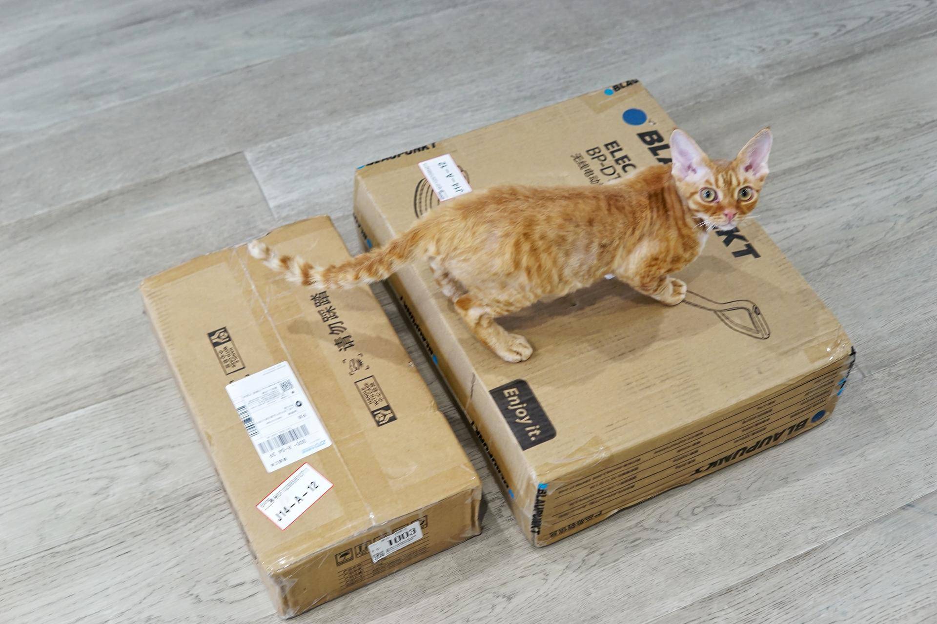 德国蓝宝拖把拖地,拖地洗地一体机测评