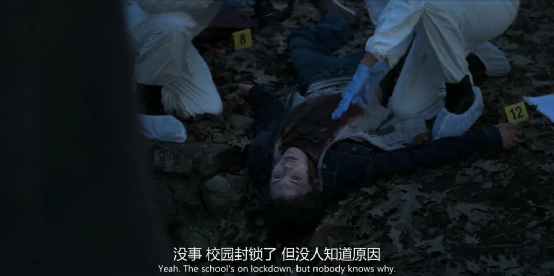 《捍卫雅各布》,捍卫雅各布美剧