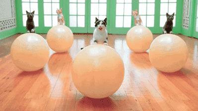 健身月经不来怎么办,健身第一个月姨妈不正常了