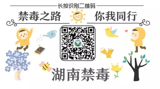 户外徒步禁毒宣传,武陵源区禁毒宣传