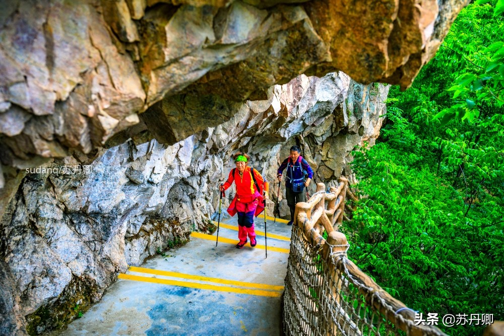 最美神都洛阳,古都洛阳一道靓丽的优美风景线