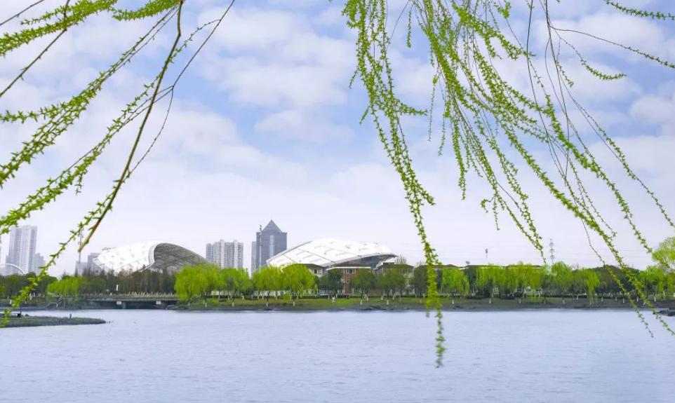 江苏发现中国宝藏,江苏宝藏大省