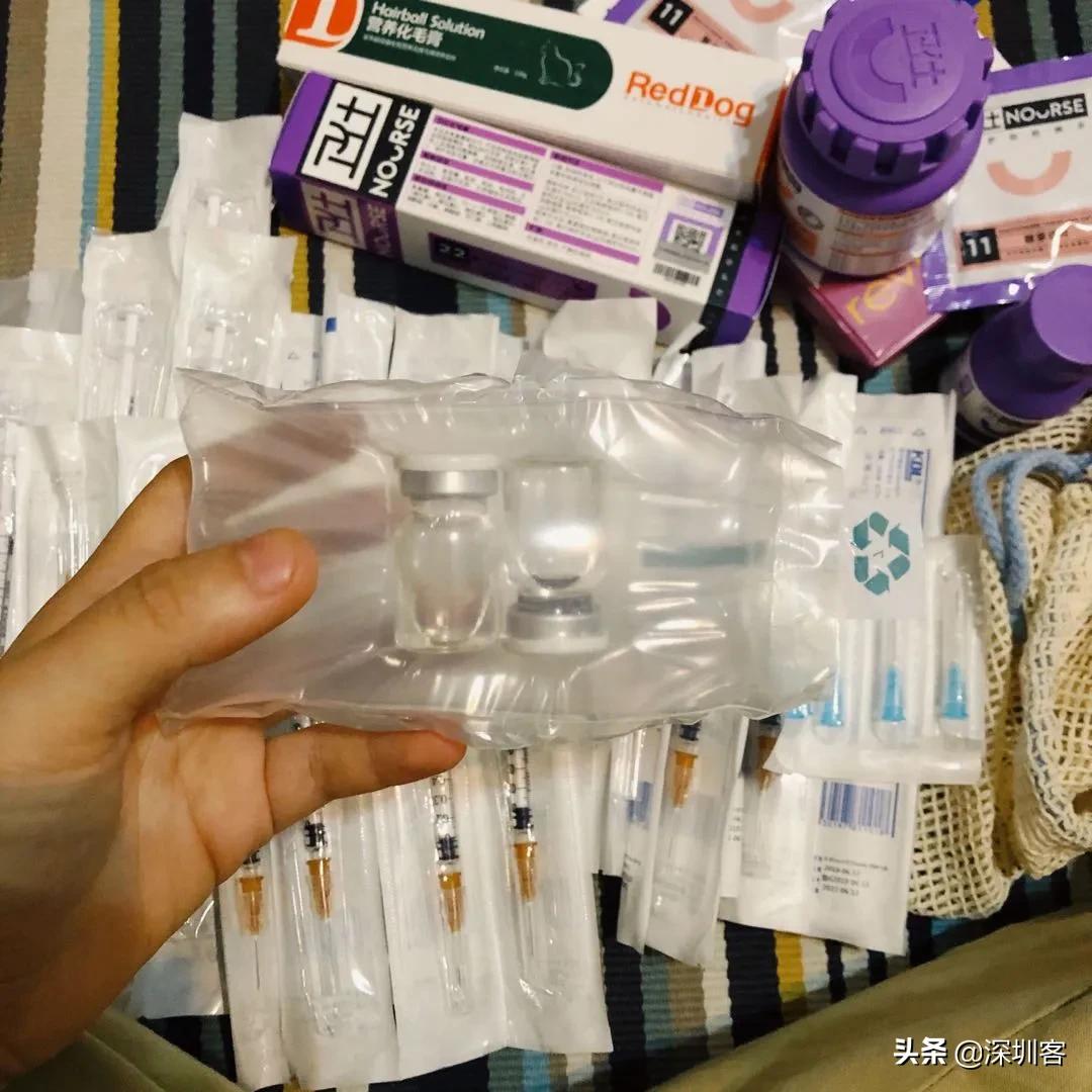 深圳猫市,深圳猫市场