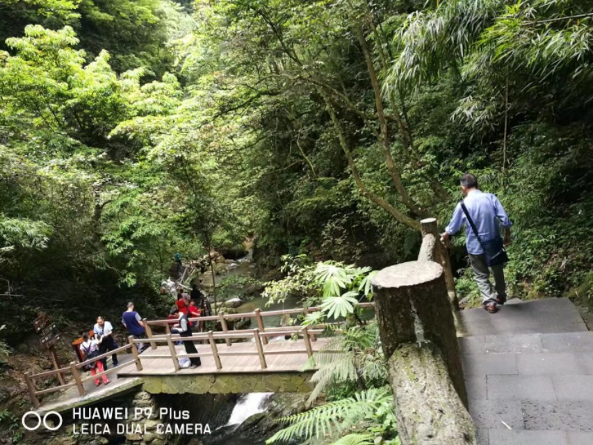 重庆黑山谷避暑适合吗,重庆避暑7天黑山谷