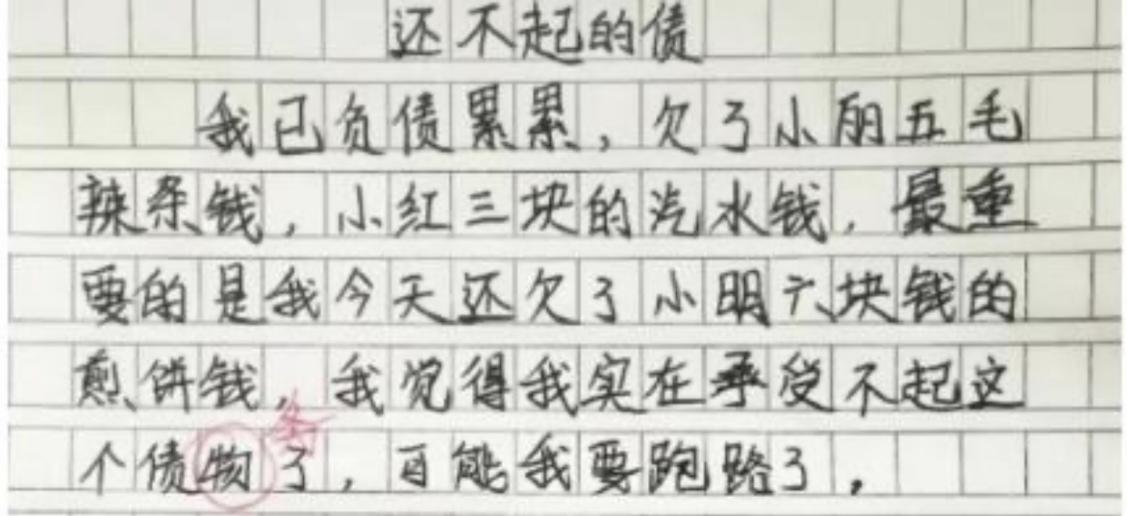 小学生作文还不起债,小学生写自己还不起的债