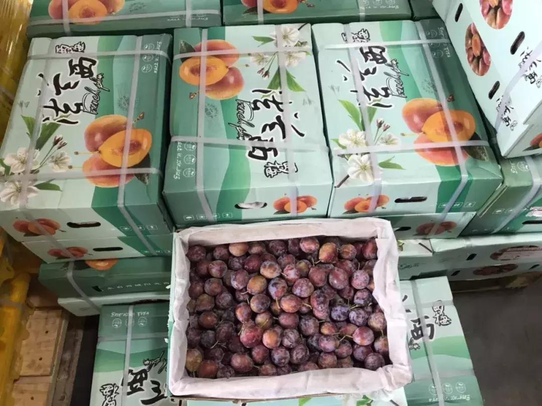 进口的水果有哪些,进口水果价格高的解决办法