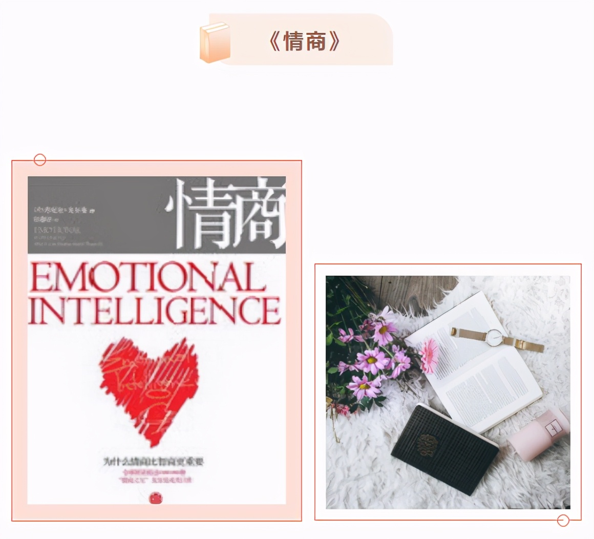 每日必读最好的十本书,推荐一生必读的十本书