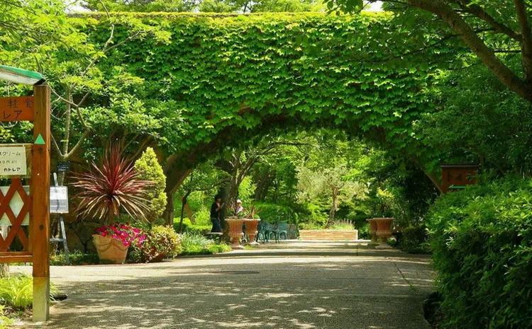 美景欣赏完整版,美景欣赏花朵