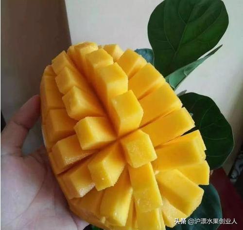 四五月份当季成熟的水果有哪些,推荐这九种当季水果千万别错过