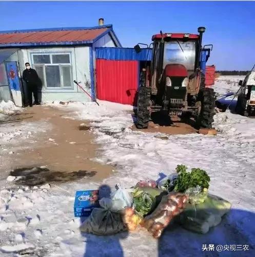 抓防疫保春耕两不误,促融合防疫春耕两不误