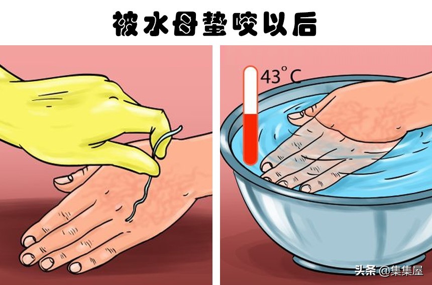 被困车中如何从后备箱逃出,被关车后备箱如何自救