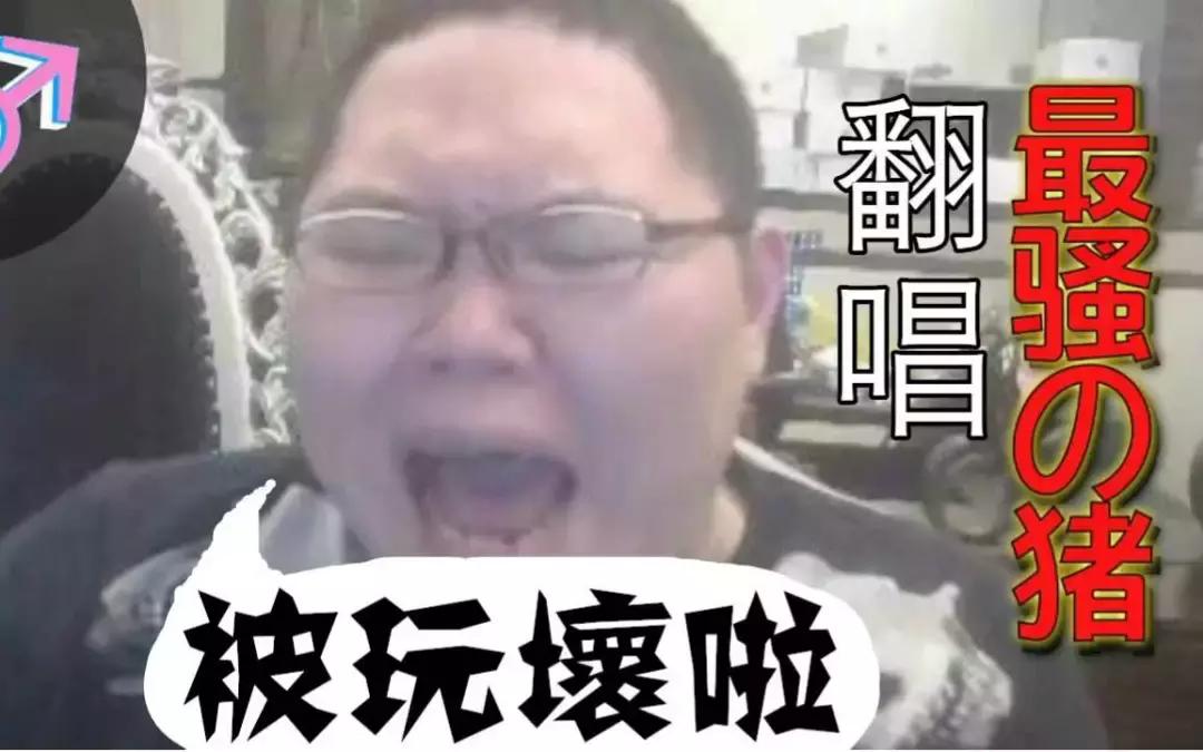 pdd回归斗鱼直播当天多少人观看,pdd签约斗鱼复播了吗