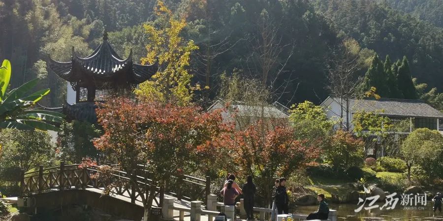 景德镇珠山区三宝村发展历程,三宝村景德镇视频