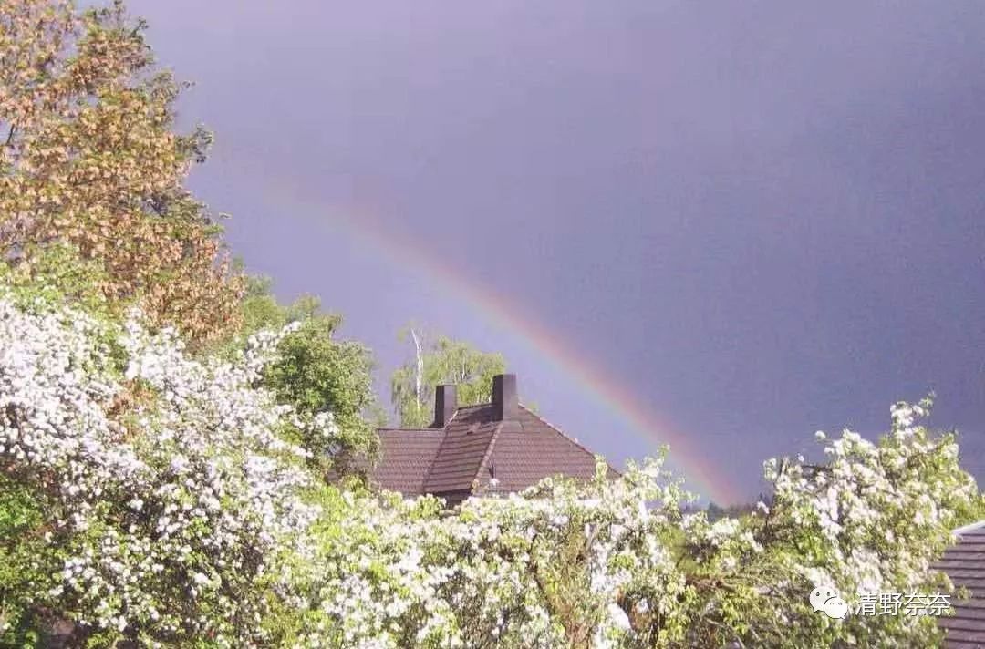 防晒霜过敏脸部自救方法,化妆品过敏紧急自救三步骤