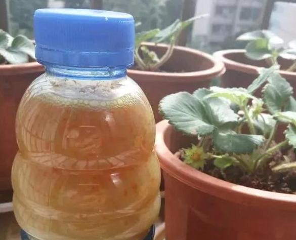 养花不换盆怎么改善土质,养花的土怎么才能改善酸性土壤