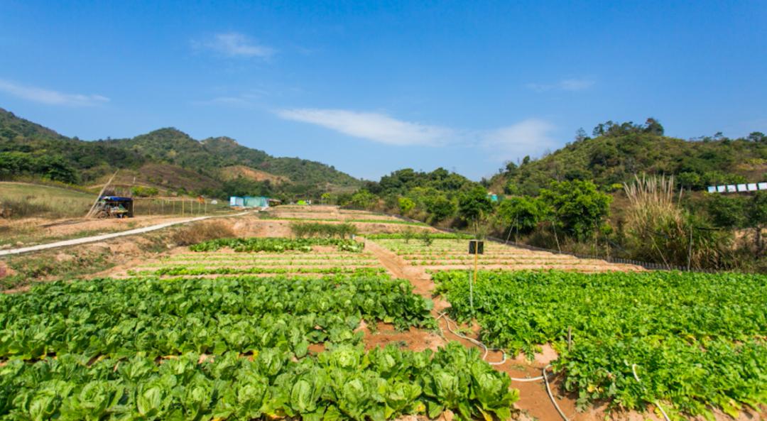 占地9000英亩豪宅,深圳占地9000平方最大别墅