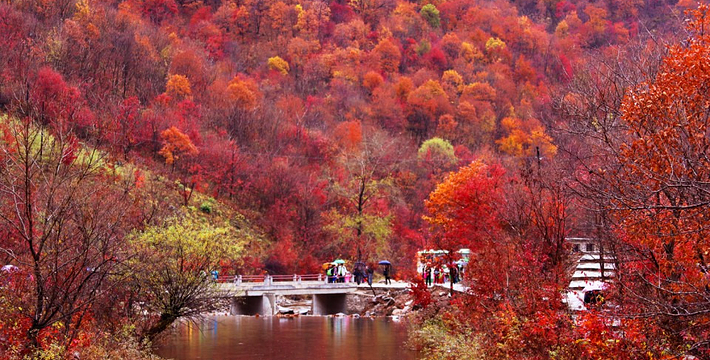 辽宁曾经有多少个直辖市,辽宁鞍山曾经是直辖市吗