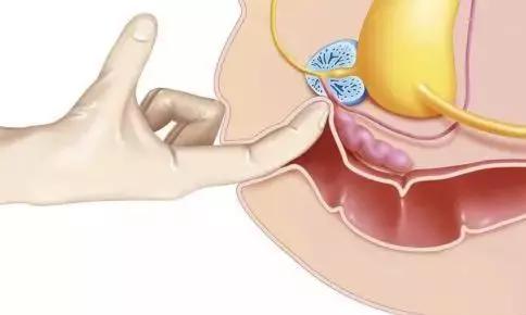 每喝一次酒就伤一次肝,每喝一次酒就受伤一次