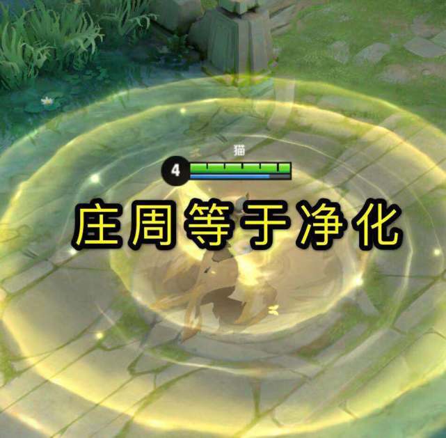 英雄联盟召唤师技能净化可以吗,英雄联盟召唤师技能的作用