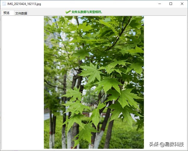 u盘被格式化了好几次还能恢复么,u盘格式化后又写入数据能恢复吗
