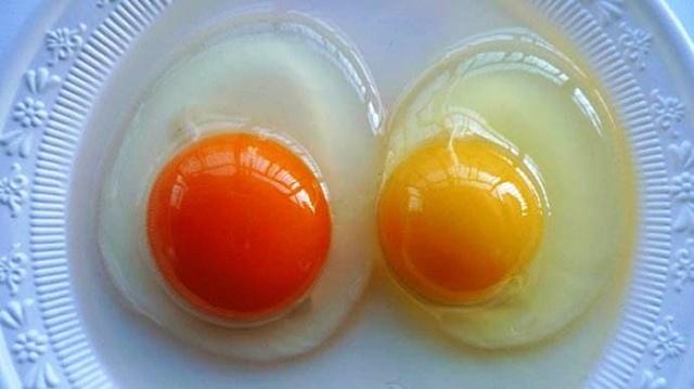 怎样分别人造鸡蛋和真正的鸡蛋,超市里卖的鸡蛋是人造鸡蛋吗