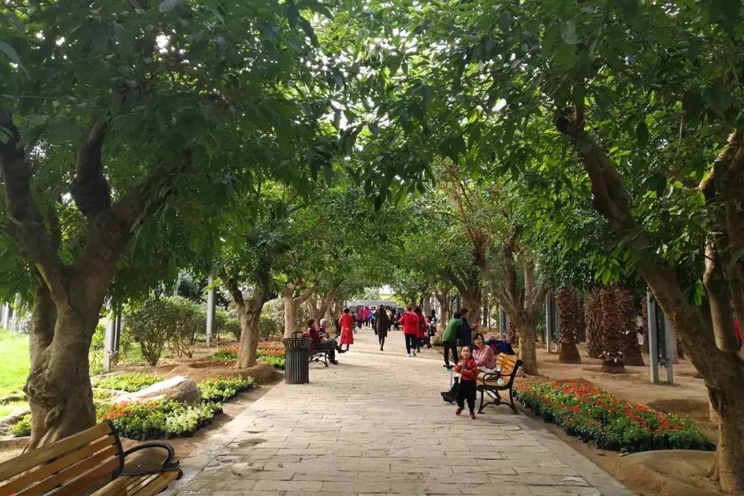 从亲子圣地到每天50个大巴团，九天休闲谷变味儿了？