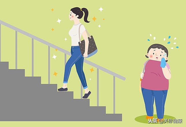 肥胖与健康肥胖的真相,与肥胖有关的健康问题