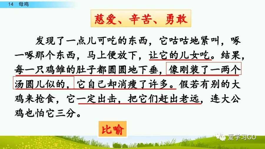 四年级下册语文母鸡课文重点讲解,四年级下册语文14课母鸡重点知识