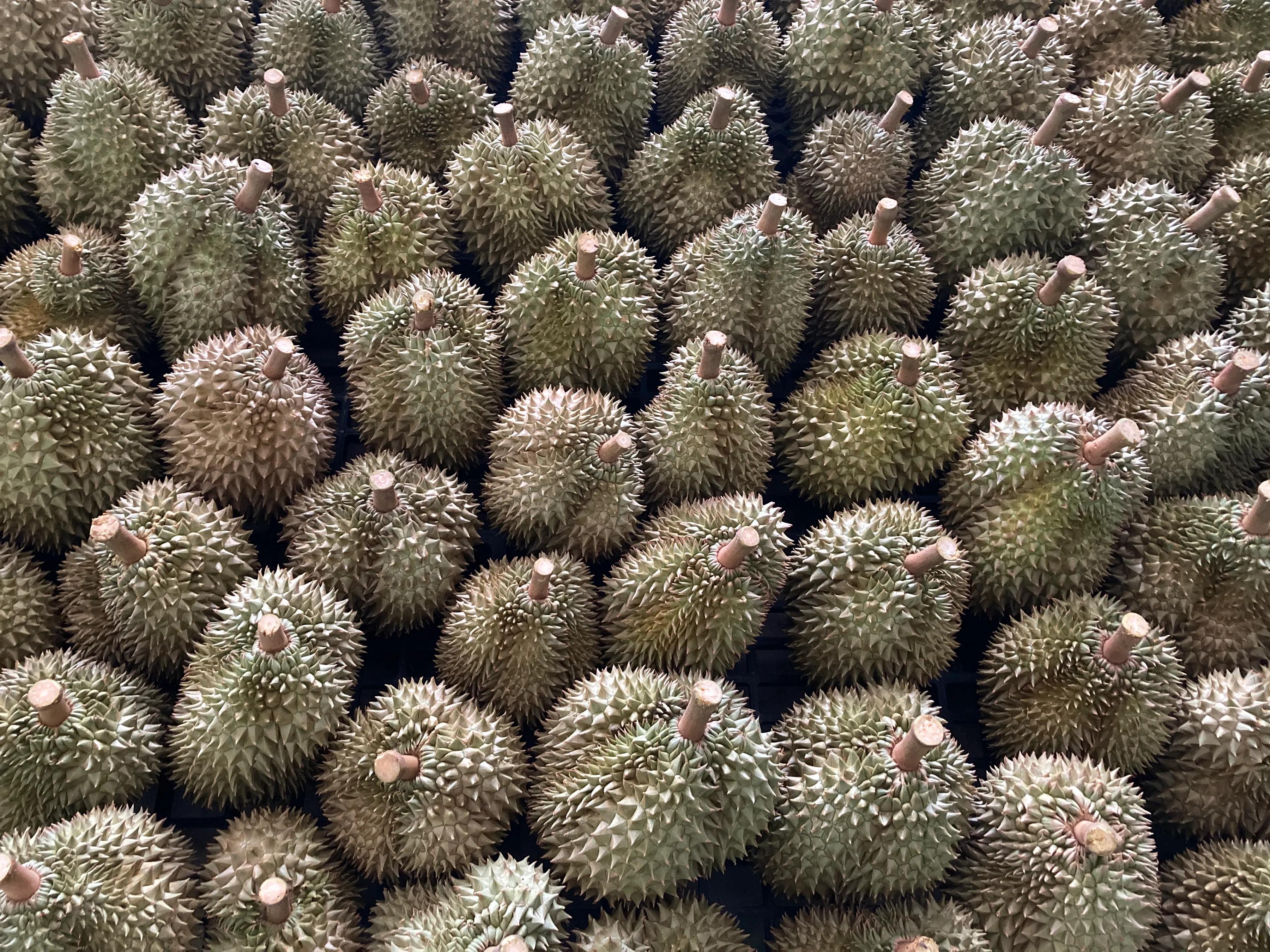 泰国榴莲最好的是哪个品种,佳沃的榴莲好还是金枕头的榴莲好