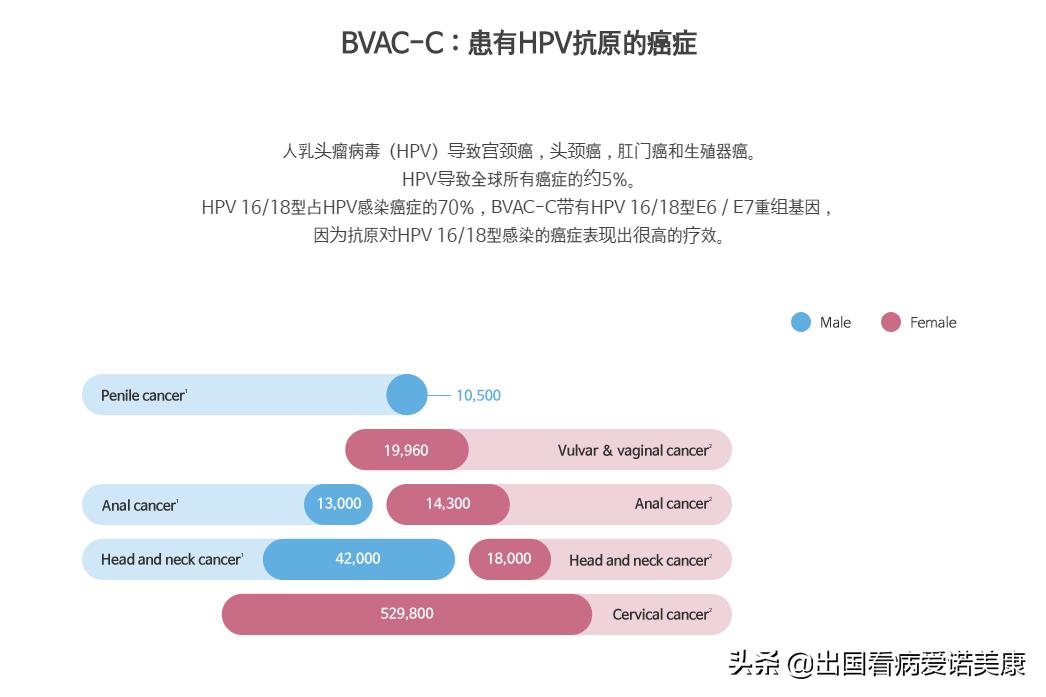 美国进口的宫颈癌疫苗能接种吗,进口宫颈癌疫苗预防率