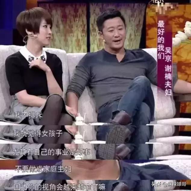 吴京电影宝藏,吴京演了无价之宝吗