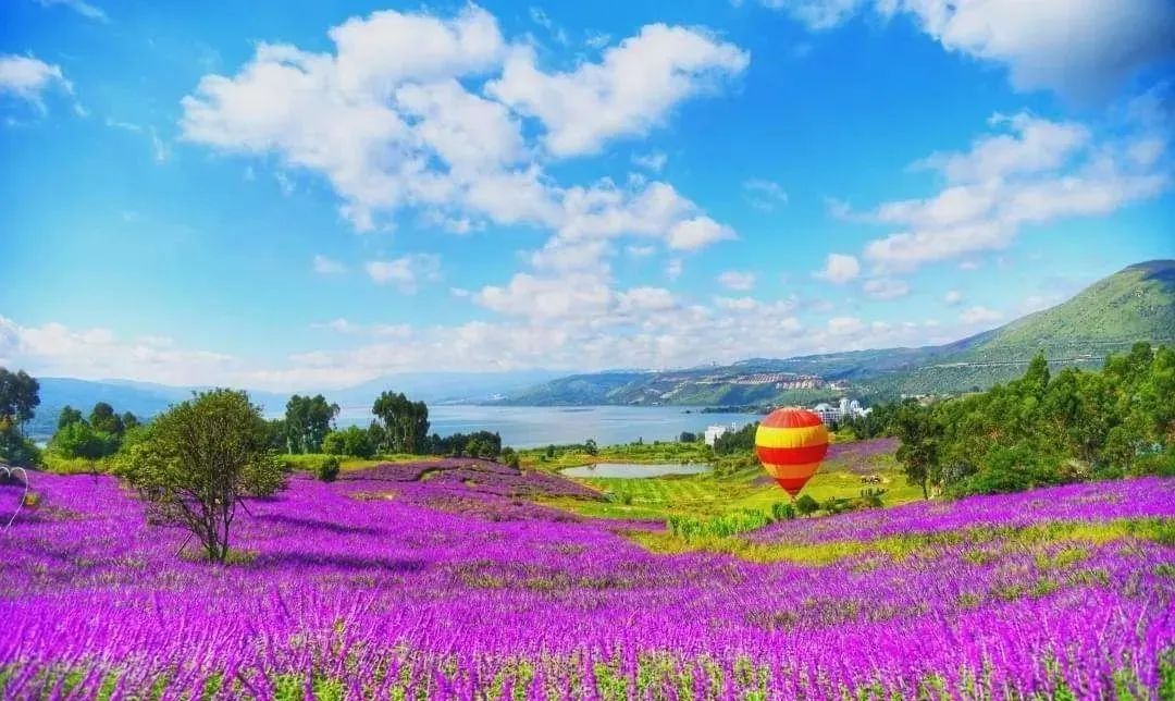 向往的田园生活的感悟,向往田园生活能让人内心宁静