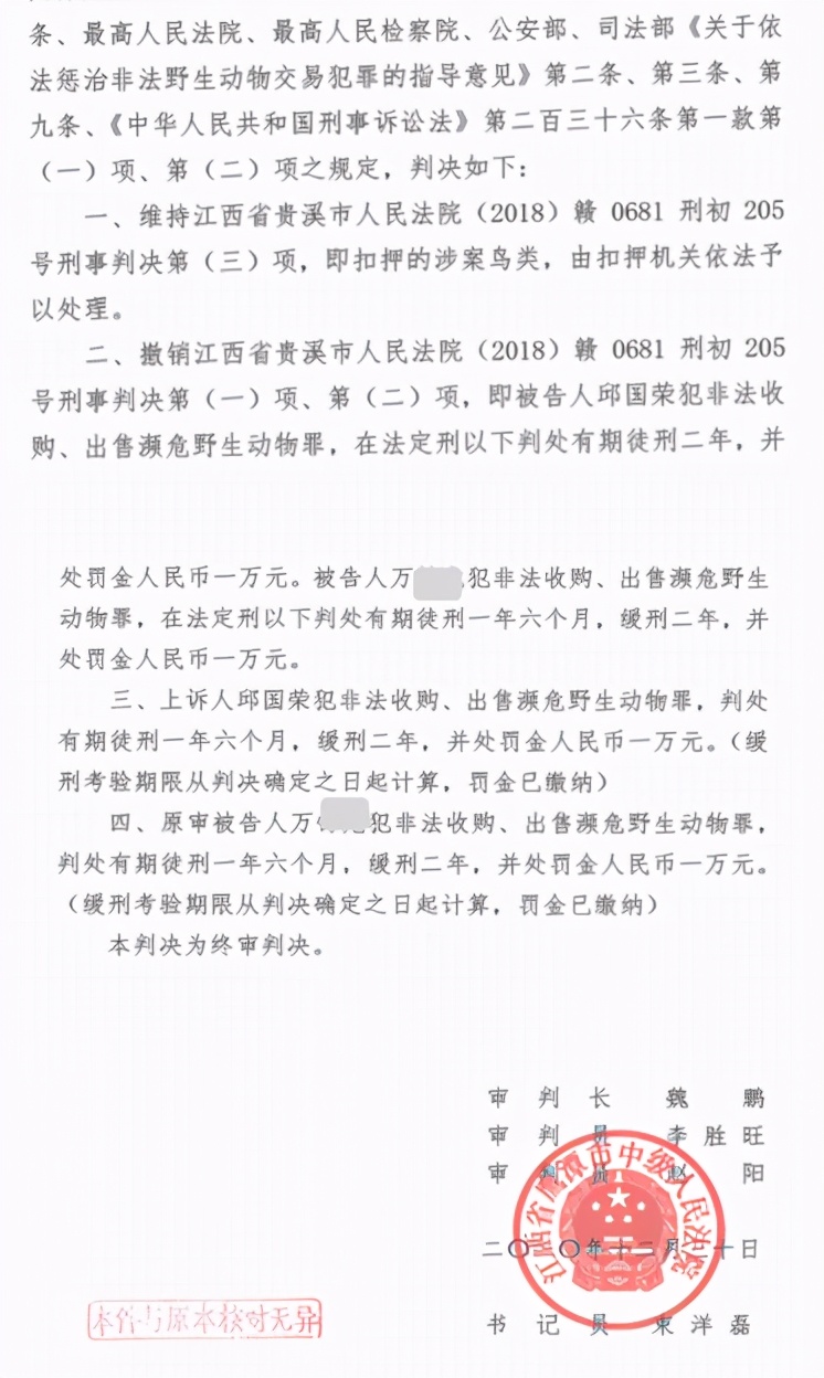 江西鹦鹉案终审宣判,首次认定收购出售人工繁育鹦鹉不构成犯罪,涉案男子3年负债累累身心俱疲提到鸟就来气