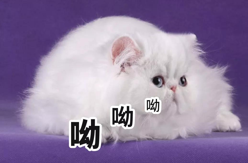 同样是线上恒大卖房子可以红星卖家具为什么就不行?