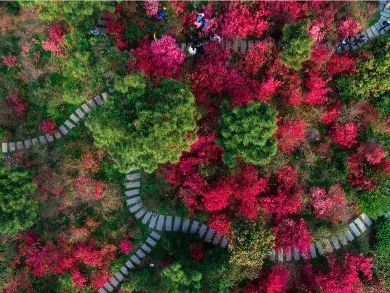 井冈山大学在井冈山上吗？19级萌新请听清——吉安火车站下车