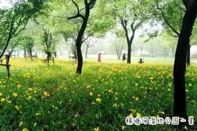 常州有没有免费的健身房,常州健身房推荐钟楼区