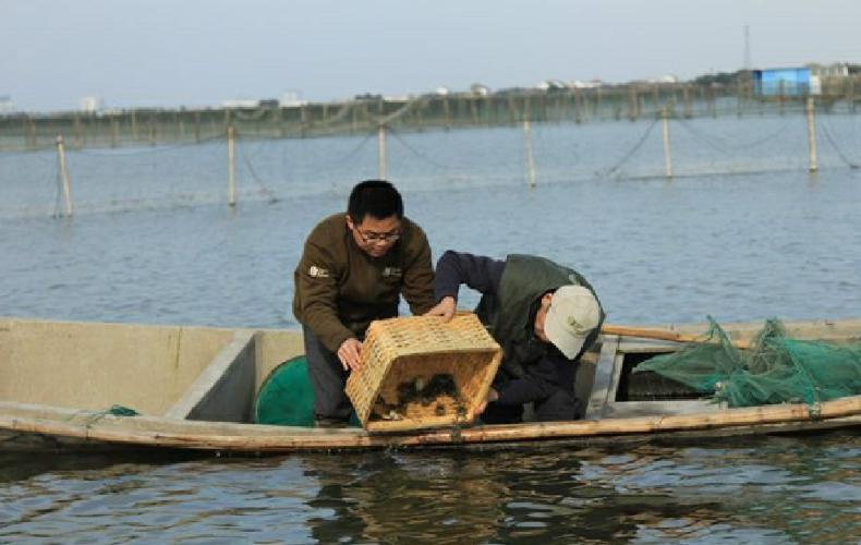 阳澄湖大闸蟹蟹卡还有最后几份,阳澄湖大闸蟹蟹卡模式