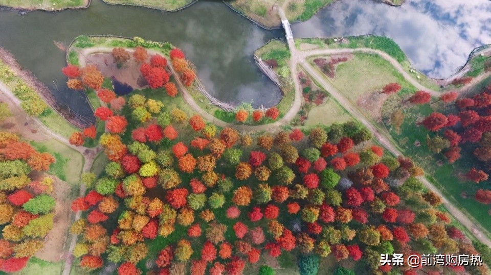 你认真了解过杭州湾新区吗？知道“她”的发展史吗，未来规划吗？