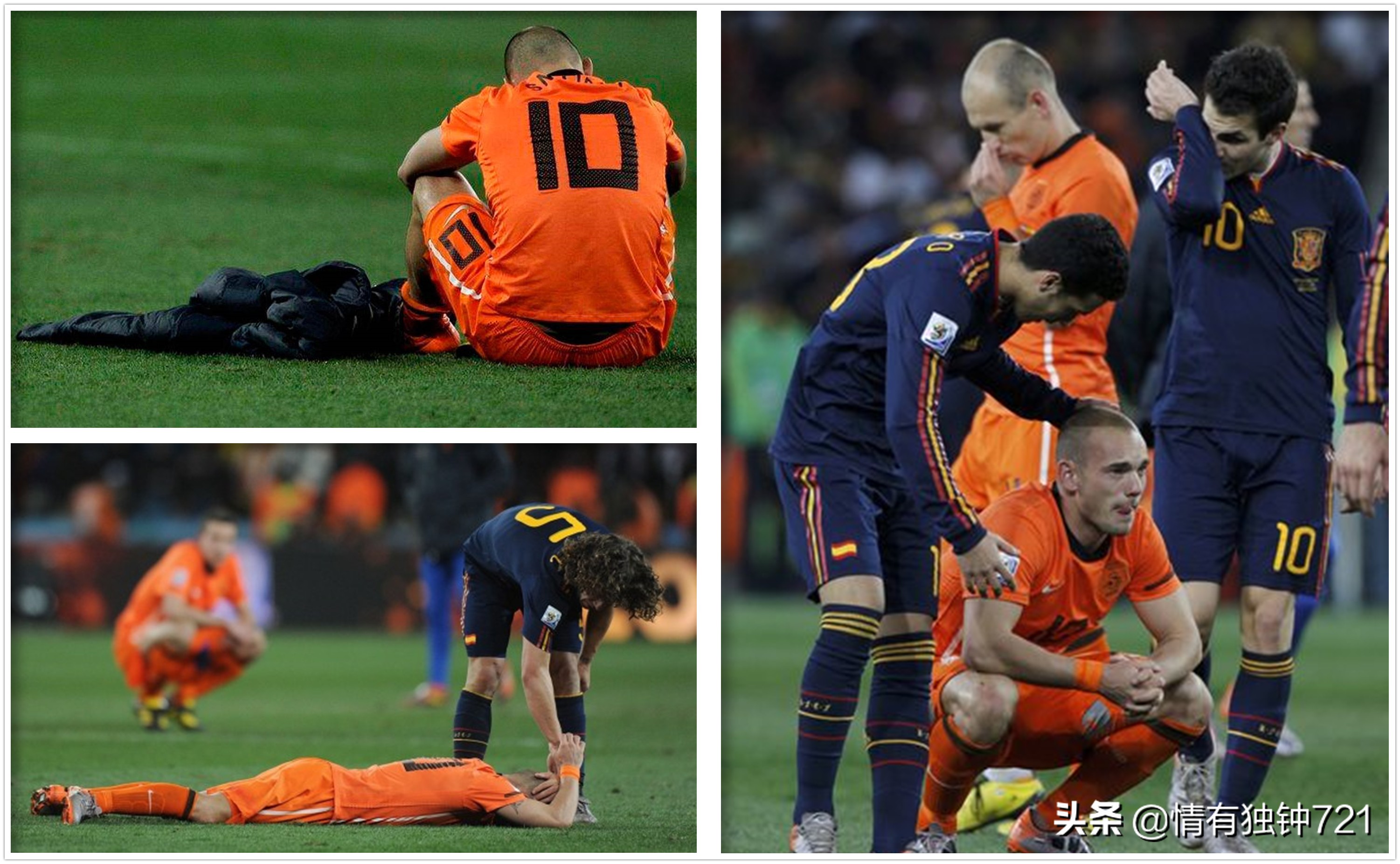 郁金香将再次绽放荷兰,郁金香再次怒放荷兰足球