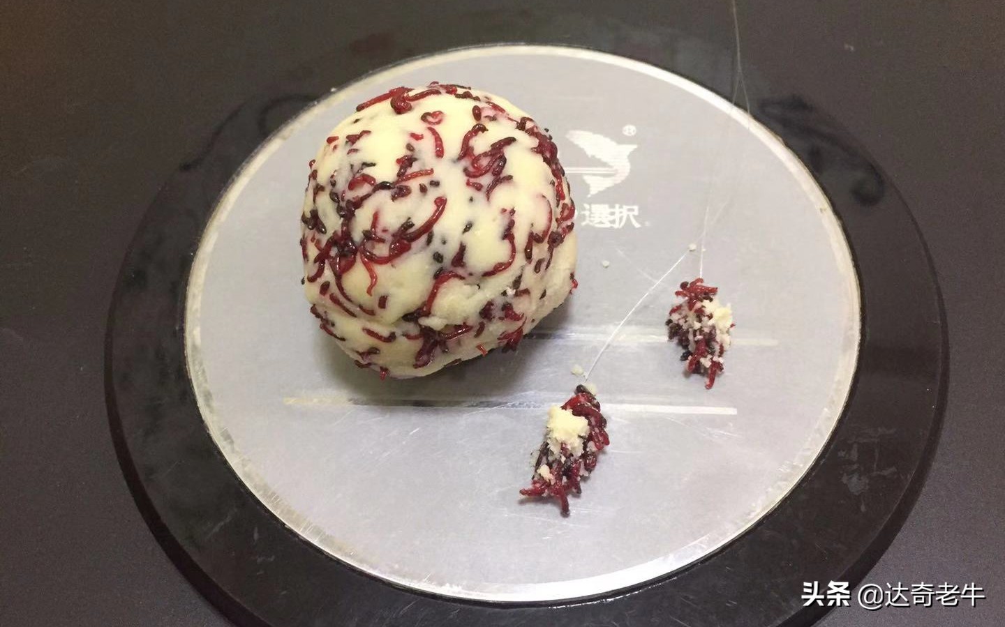 它取代了传统冬钓虫饵，还不给渔具店1分钱，详解——红虫白饵