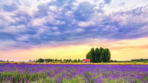 来云南旅游导游带去自己家住,云南旅游顾问工作怎么样啊