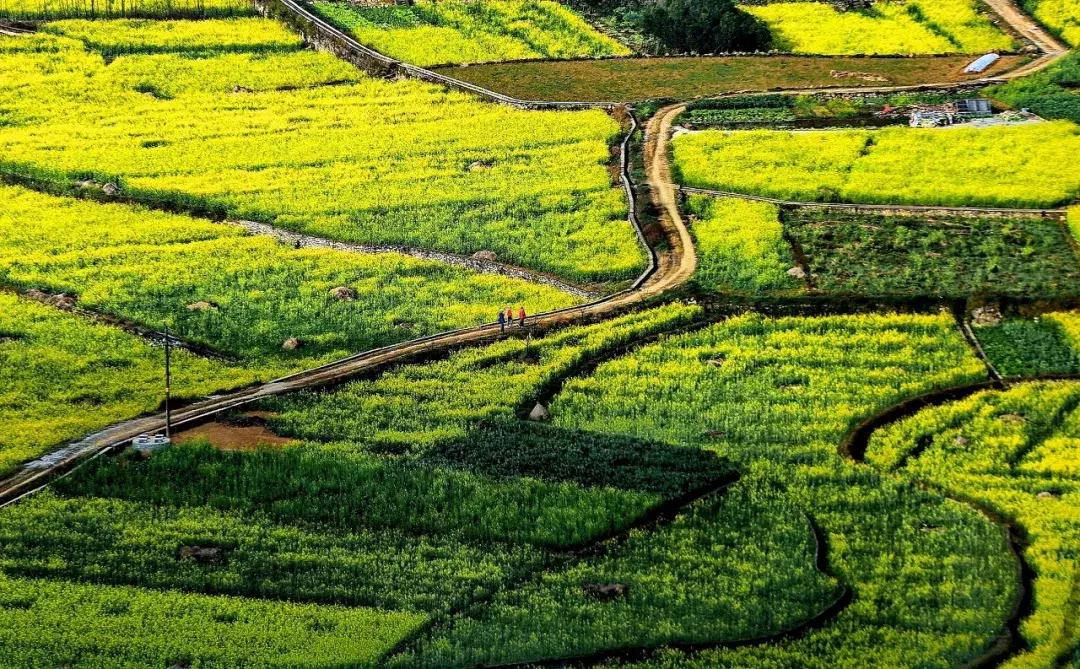 贵州黔东南为什么那么火,黔东南在贵州算不算穷的地方