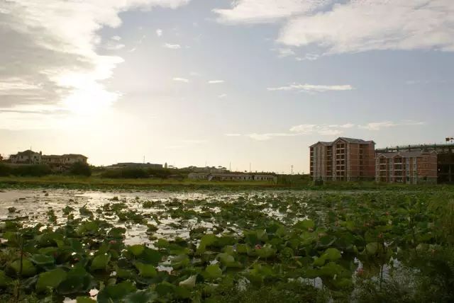 揭秘武汉最难进的学校,武汉市最难进的学校