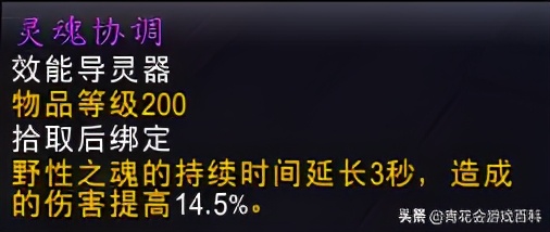 暗影国度兽王猎输出循环,魔兽世界暗影猎人攻略