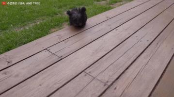 tony老师高阶换头术,90后tony老师换头术