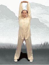 八段锦两手托天的功效与作用,金刚功和八段锦哪个功效更好