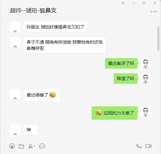 猫咪打喷嚏眼睛有分泌物怎么办,猫咪打喷嚏眼鼻分泌物增多